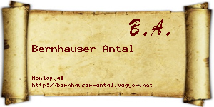 Bernhauser Antal névjegykártya